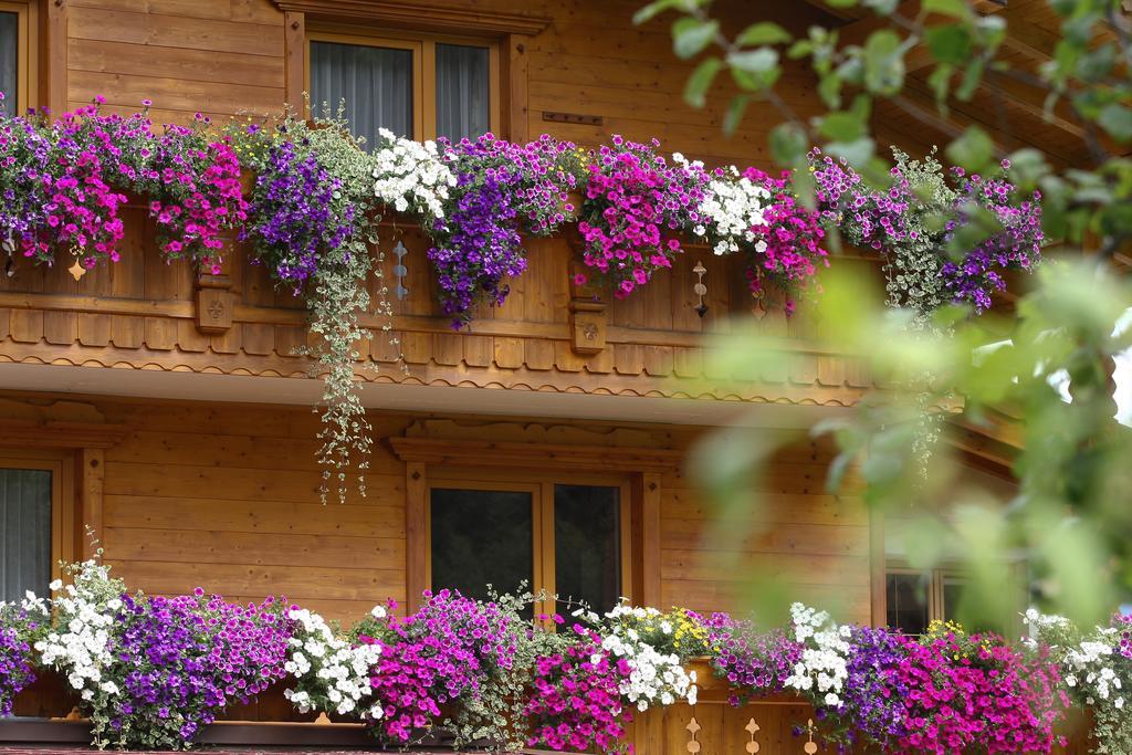Apartament Alpenecho Neustift im Stubaital Zewnętrze zdjęcie