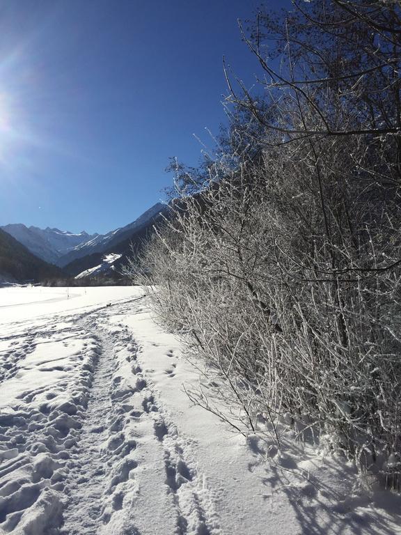 Apartament Alpenecho Neustift im Stubaital Zewnętrze zdjęcie