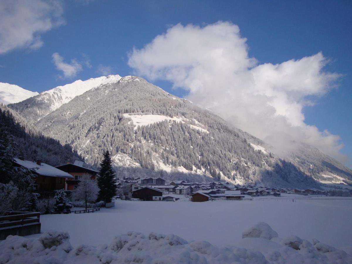 Apartament Alpenecho Neustift im Stubaital Zewnętrze zdjęcie
