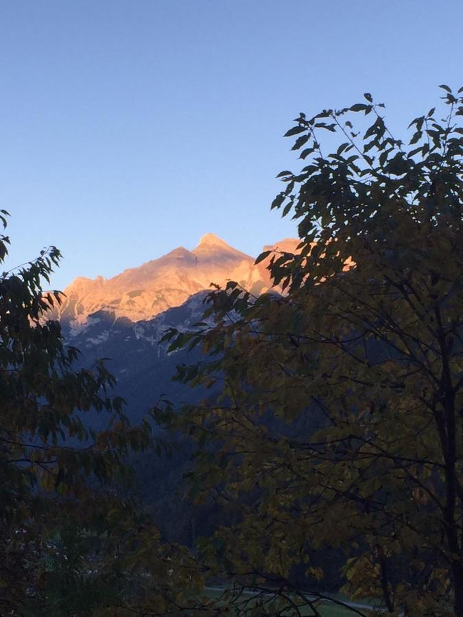 Apartament Alpenecho Neustift im Stubaital Zewnętrze zdjęcie